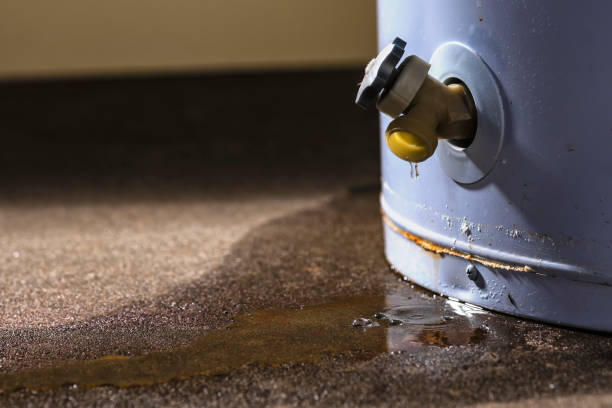 Best Water damage contractors near me  in Mead, WA