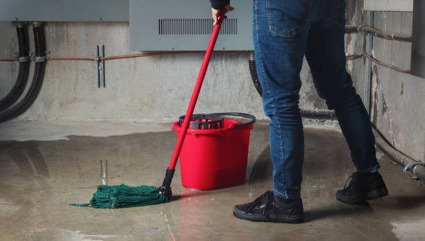 Best Carpet water damage restoration  in Mead, WA