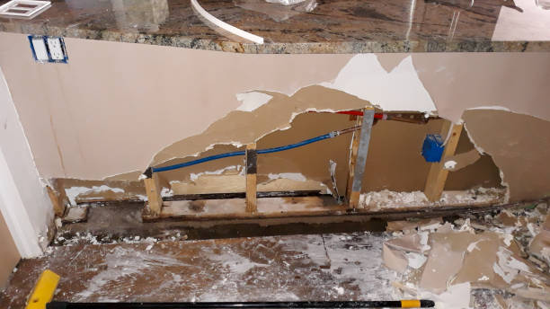  Mead, WA Water damage restoration Pros