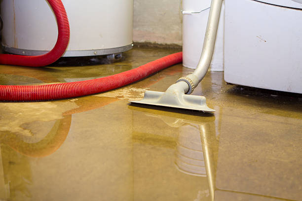Reliable WA Water damage restoration Solutions