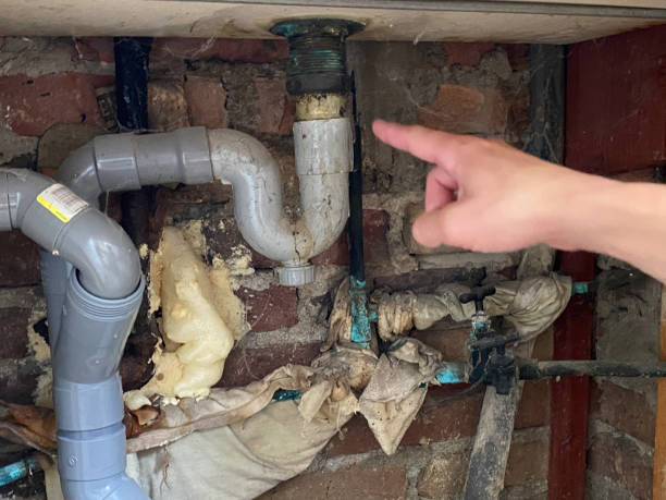 Best Carpet water damage restoration  in Mead, WA