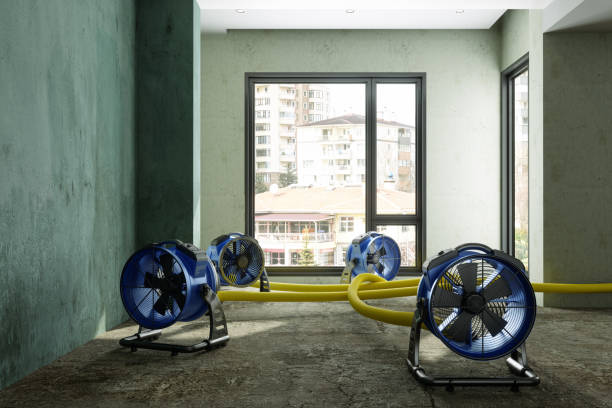 Best Flood restoration services  in Mead, WA