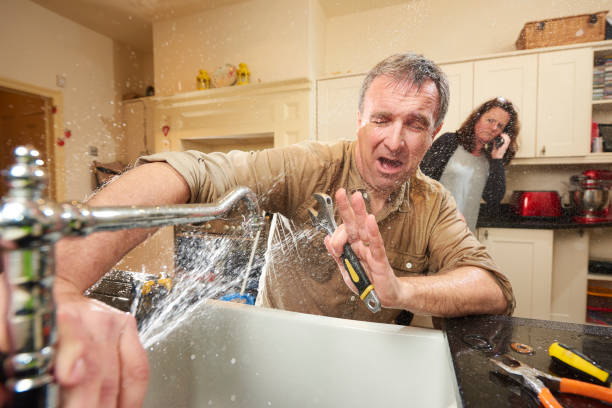 Best Basement water damage restoration  in Mead, WA